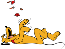 Pluto on his back, watching falling leaves