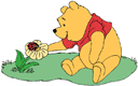 Winnie the Pooh, ladybug