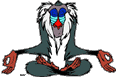 Rafiki meditating