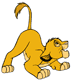 Playful Simba