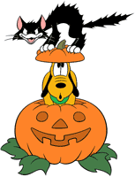 Pluto, black cat