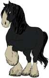 Angus the horse