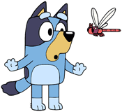 Bluey admiring a dragonfly at the creek