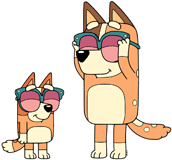 Chilli and Bingo trying on sunglasses
