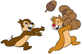 Chip, Dale running with acorns