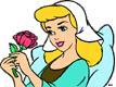 Cinderella, rose