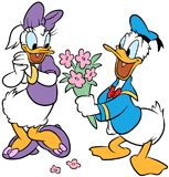 Donald Duck offering Daisy a bouquet of flowers