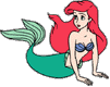 Ariel