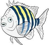 Flounder