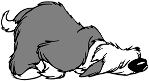 Max smelling the ground
