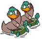 Ducks, turtles