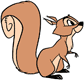 Squirrel