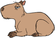 Capybara