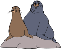 Fluke and Rudder on a rock