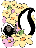 Flower hiding among flowers