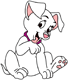 Oddball licking paw