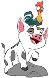 Pua with Heihei on his head