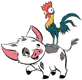 Pua, Heihei