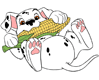 Rolly eating corn on the cob