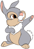 Thumper holding up one paw