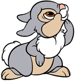 Thumper looking up