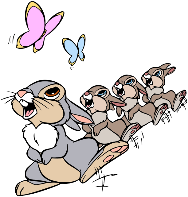 Thumper \u0026 Hình ảnh clip nghệ thuật của Miss BunnyThumper \u0026 Hình ảnh clip nghệ thuật của Miss Bunny  