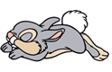 Thumper sleeping