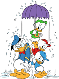 Donald Duck, Huey, Dewey, Louie under an umbrella in the rain