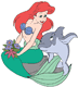 Ariel, dolphin