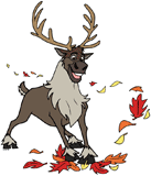 Sven playing in fall leaves