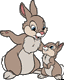 Thumper, mother, sister