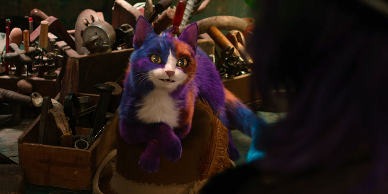 Chessy the Cat