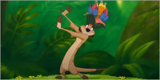 Timon