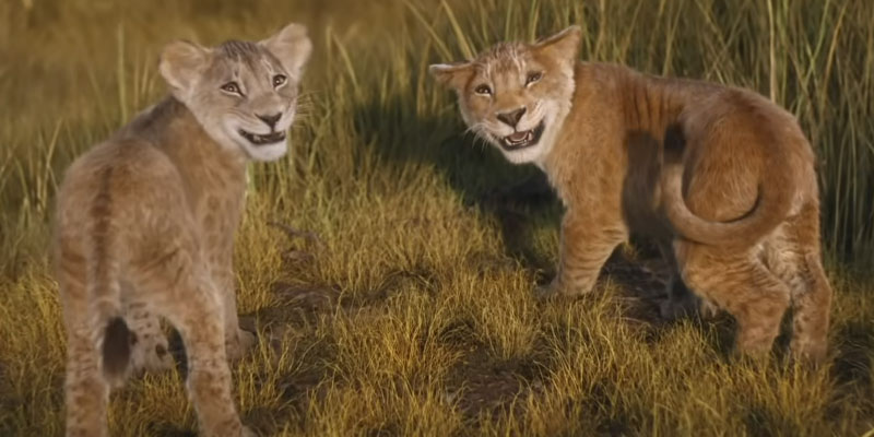 Taka & Mufasa