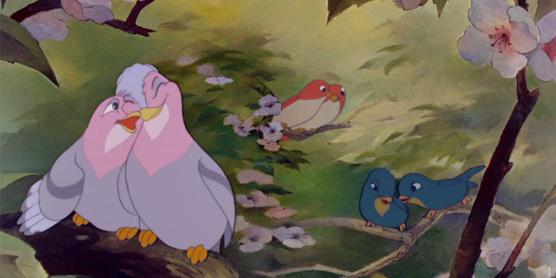 Bambi: birds in the Spring