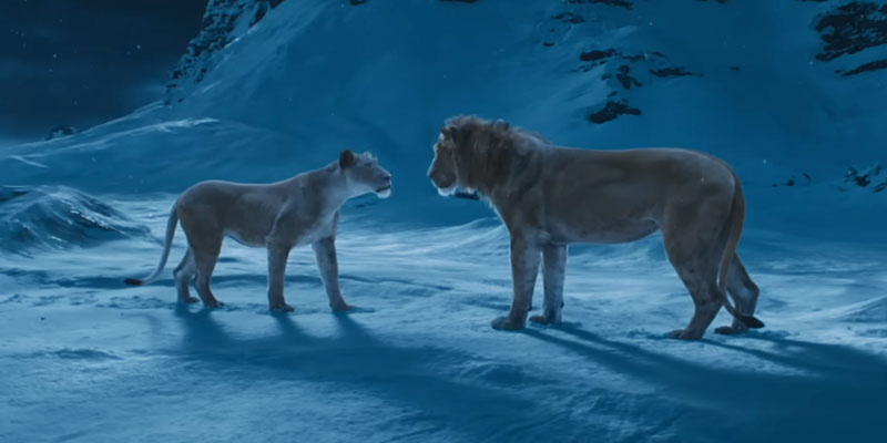 Mufasa & Sarabi