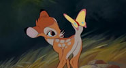 Bambi, butterfly