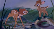 Bambi, Faline
