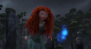Merida, whisp