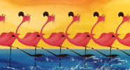 Pik flamingoes