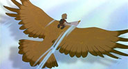 Cody, flying eagle