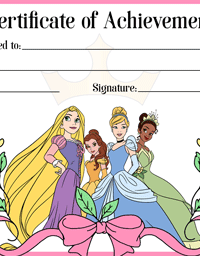 Disney Princess certificate